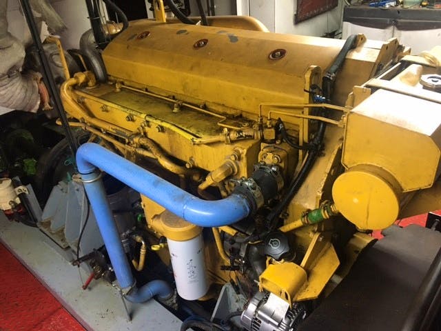 Rottweiler — thumbnail 4